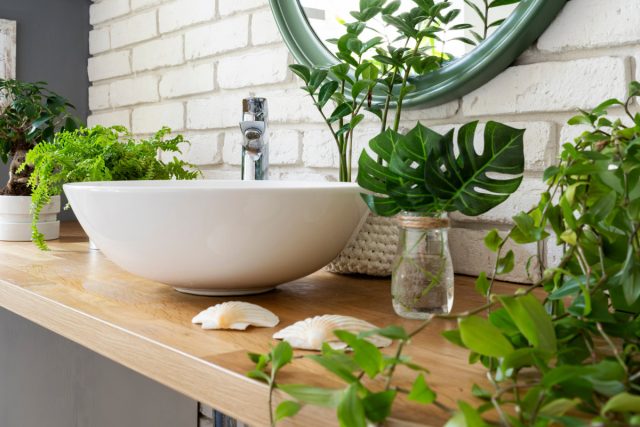 12 лучших растений для ванной комнаты — выбираем правильно