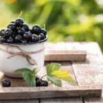 79358 Гигантские ягоды черной смородины — 10 самых крупноплодных сортов