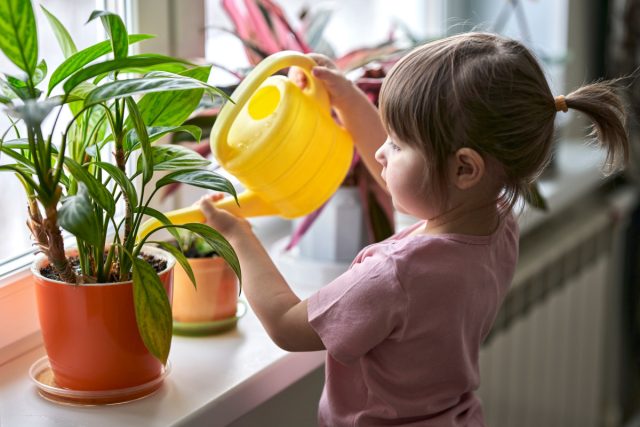 Какие растения опасно ставить в детскую комнату?