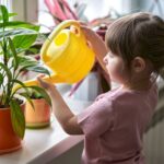 82573 Какие растения опасно ставить в детскую комнату?