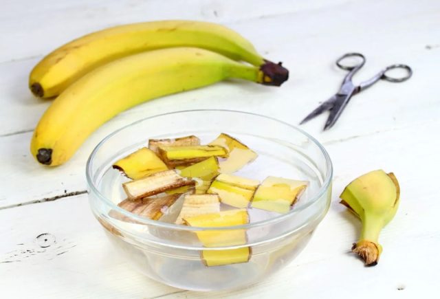 Полив банановой водой не вреден для растений, но он вообще не приносит никакой пользы