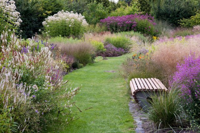 Малоуходность и романтичность — в чём особенность пейзажного сада?